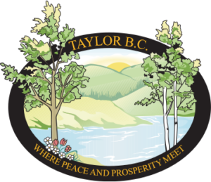 DISTRICT OF TAYLOR