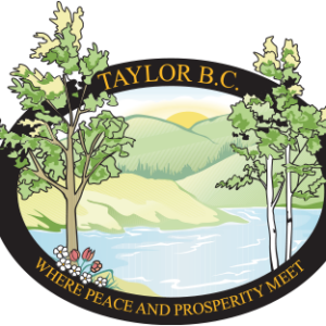 DISTRICT OF TAYLOR