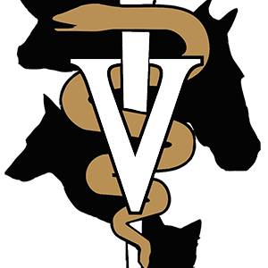DAWSON CREEK VETERINARY CLINIC